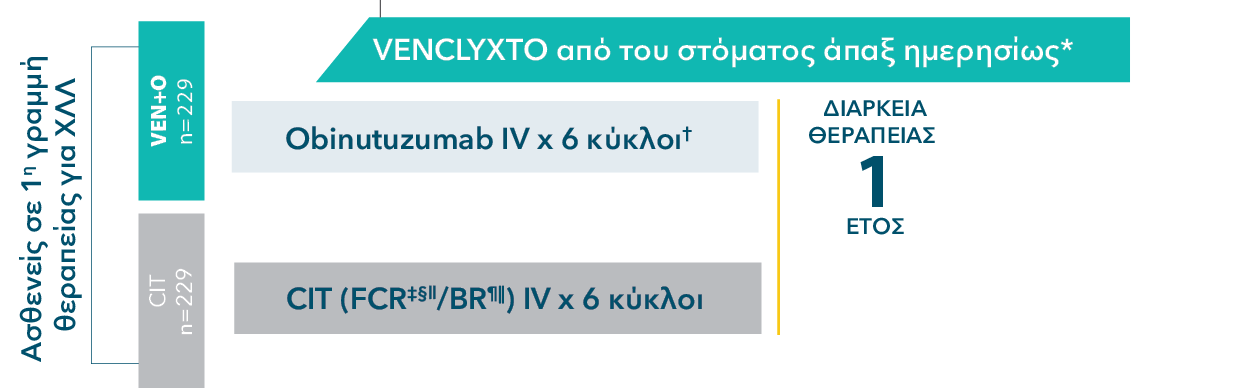 Across TP53 mutational status, VEN+O showed a PFS benefit vs O+Clb in firstline patients Across TP53 mutational status, VEN+O showed a PFS benefit vs O+Clb in firstline patients